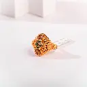 WhatsApp Image 2025-07-24 at 1.00.30 PM (1).webp