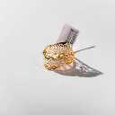 خاتم فاخر بتصميم عصري